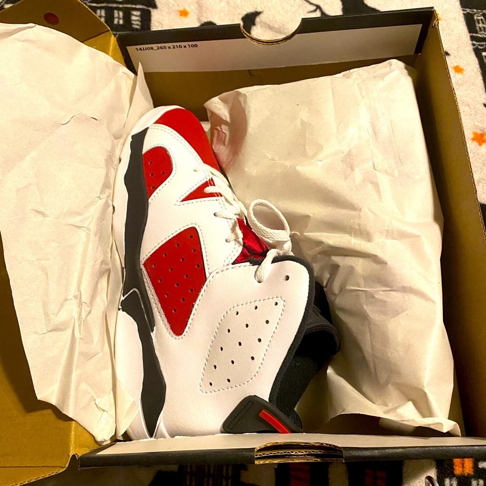 Jordan 6 retro